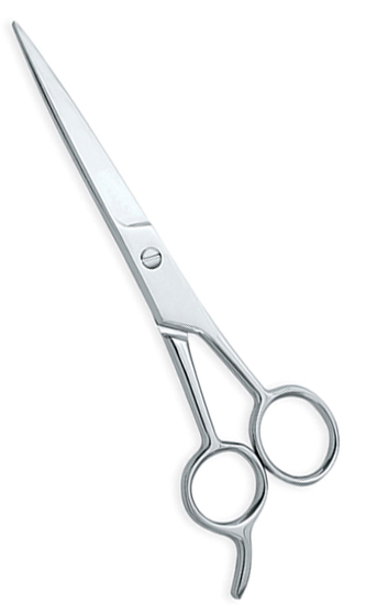 Standard Barber Scissors