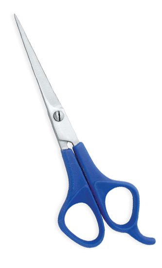 Standard Barber Scissors