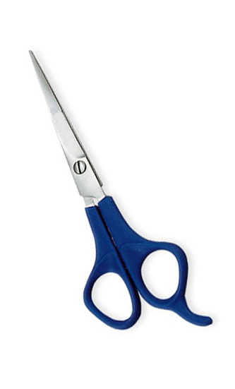 Plastic Handle Scissors