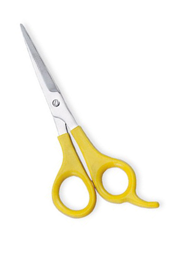 Plastic Handle Scissors