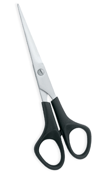 Plastic Handle Scissors