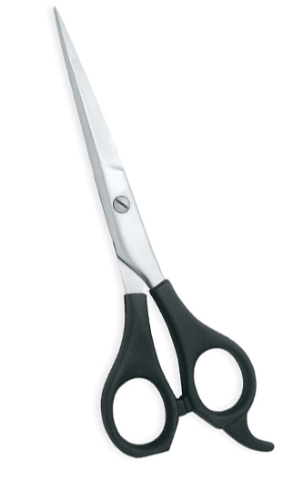 Plastic Handle Scissors